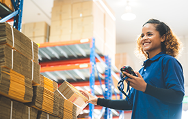 vocational training and on the job training