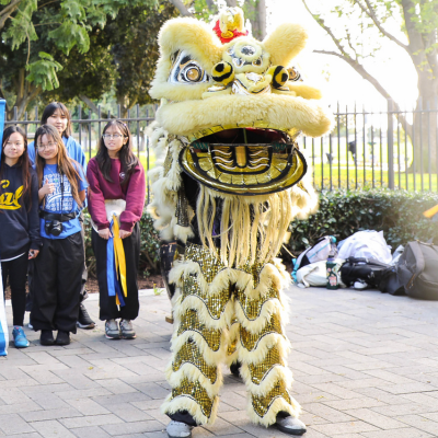 Image of a traditional dragon costume for Lunar New Year