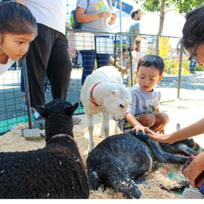 Ponderosa Joint-Use Branch Image of kids petting goats
